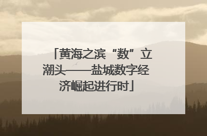 黄海之滨“数”立潮头——盐城数字经济崛起进行时