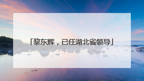 黎东辉，已任湖北省领导