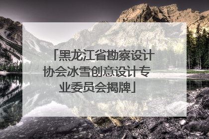 黑龙江省勘察设计协会冰雪创意设计专业委员会揭牌