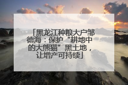 黑龙江种粮大户邹德海：保护“耕地中的大熊猫”黑土地，让增产可持续