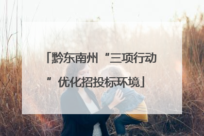 黔东南州“三项行动”优化招投标环境