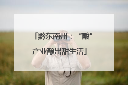 黔东南州：“酸”产业酿出甜生活