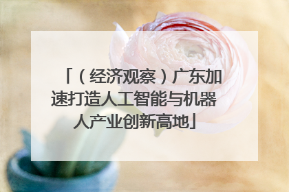 （经济观察）广东加速打造人工智能与机器人产业创新高地