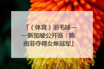 （体育）羽毛球——新加坡公开赛：陈雨菲夺得女单冠军
