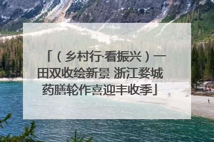 （乡村行·看振兴）一田双收绘新景 浙江婺城药膳轮作喜迎丰收季
