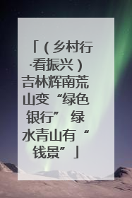 （乡村行·看振兴）吉林辉南荒山变“绿色银行” 绿水青山有“钱景”