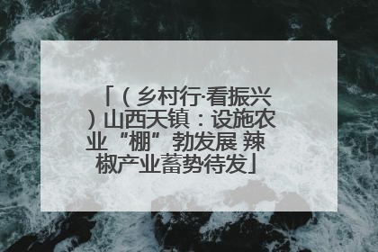 （乡村行·看振兴）山西天镇：设施农业“棚”勃发展 辣椒产业蓄势待发