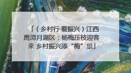 （乡村行·看振兴）江西鹰潭月湖区：杨梅压枝迎客来 乡村振兴添“梅”景