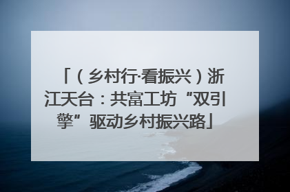 （乡村行·看振兴）浙江天台：共富工坊“双引擎”驱动乡村振兴路