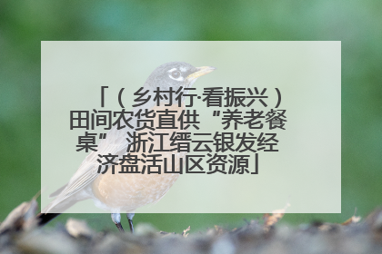 （乡村行·看振兴）田间农货直供“养老餐桌” 浙江缙云银发经济盘活山区资源
