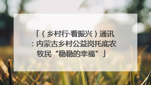 （乡村行·看振兴）通讯：内蒙古乡村公益岗托底农牧民“稳稳的幸福”