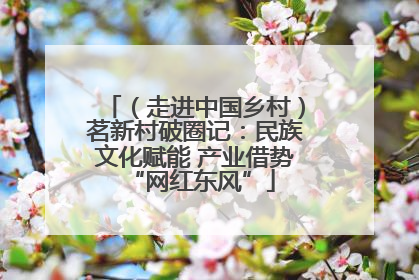 （走进中国乡村）茗新村破圈记：民族文化赋能 产业借势 “网红东风”