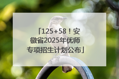 125+58！安徽省2025年优师专项招生计划公布
