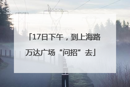 17日下午，到上海路万达广场“问招”去