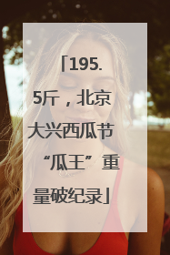 195.5斤，北京大兴西瓜节“瓜王”重量破纪录