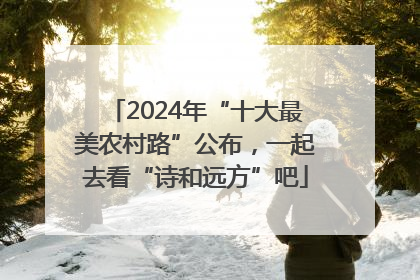 2024年“十大最美农村路”公布，一起去看“诗和远方”吧