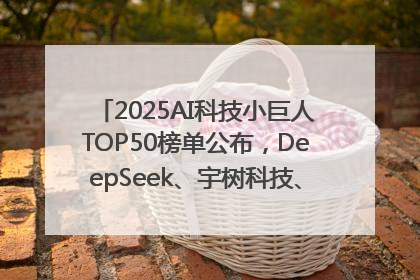 2025AI科技小巨人TOP50榜单公布，DeepSeek、宇树科技、蘑菇车联等企业荣誉上榜