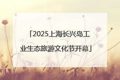 2025上海长兴岛工业生态旅游文化节开幕