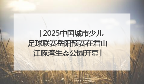 2025中国城市少儿足球联赛岳阳预赛在君山江豚湾生态公园开幕