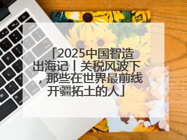 2025中国智造出海记丨关税风波下，那些在世界最前线开疆拓土的人