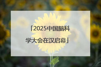 2025中国脑科学大会在汉启幕