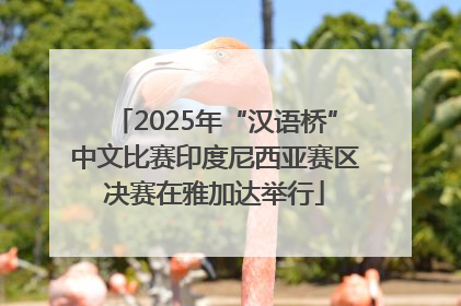 2025年“汉语桥”中文比赛印度尼西亚赛区决赛在雅加达举行