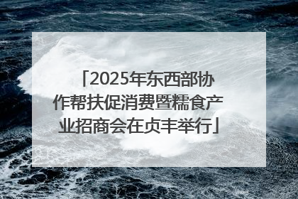 2025年东西部协作帮扶促消费暨糯食产业招商会在贞丰举行