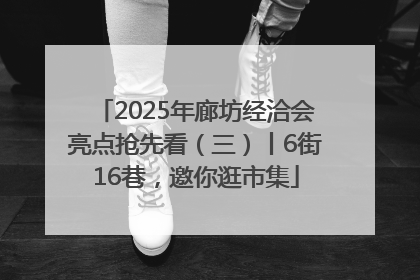 2025年廊坊经洽会亮点抢先看（三）丨6街16巷，邀你逛市集