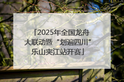 2025年全国龙舟大联动暨“划遍四川”乐山夹江站开赛
