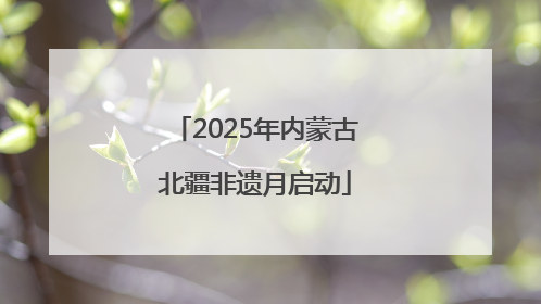 2025年内蒙古北疆非遗月启动