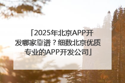 2025年北京APP开发哪家靠谱？细数北京优质专业的APP开发公司