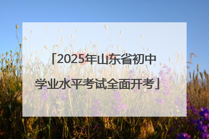2025年山东省初中学业水平考试全面开考