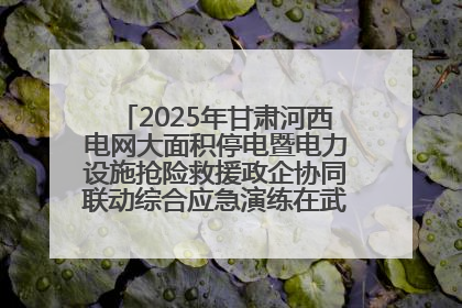2025年甘肃河西电网大面积停电暨电力设施抢险救援政企协同联动综合应急演练在武威成功举行