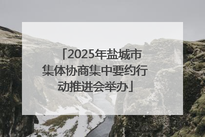 2025年盐城市集体协商集中要约行动推进会举办