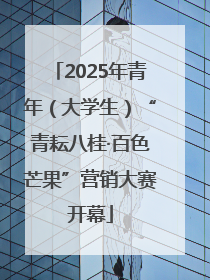 2025年青年（大学生）“青耘八桂·百色芒果”营销大赛开幕