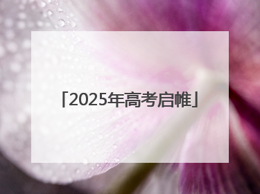 2025年高考启帷