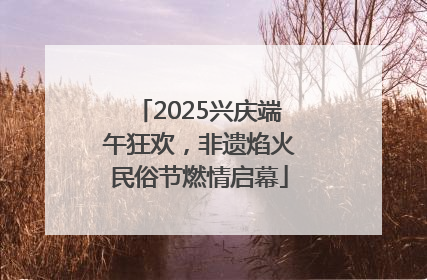 2025兴庆端午狂欢，非遗焰火民俗节燃情启幕