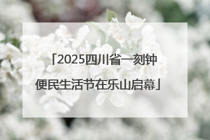 2025四川省一刻钟便民生活节在乐山启幕