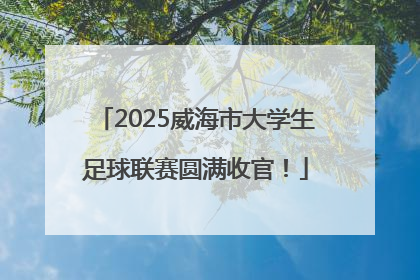 2025威海市大学生足球联赛圆满收官！