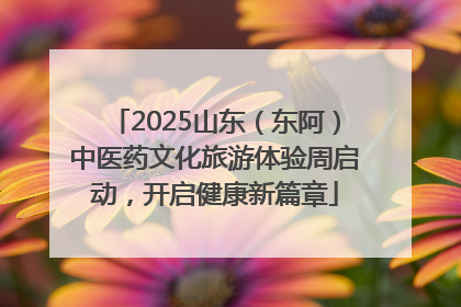 2025山东（东阿）中医药文化旅游体验周启动，开启健康新篇章