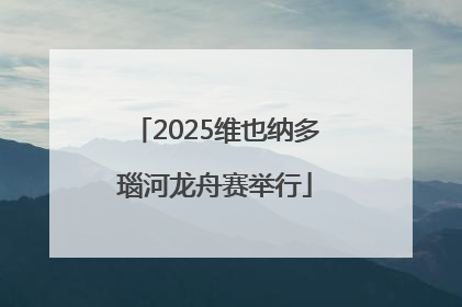 2025维也纳多瑙河龙舟赛举行
