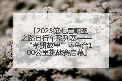 2025第七届朝圣之路自行车系列赛——“孝贤故里”环鱼台100公里挑战赛启幕