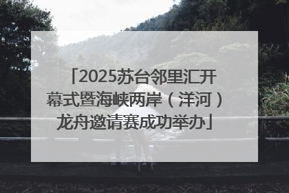 2025苏台邻里汇开幕式暨海峡两岸（洋河）龙舟邀请赛成功举办