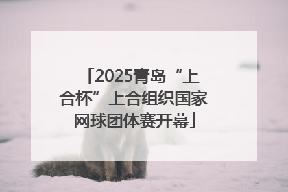 2025青岛“上合杯”上合组织国家网球团体赛开幕