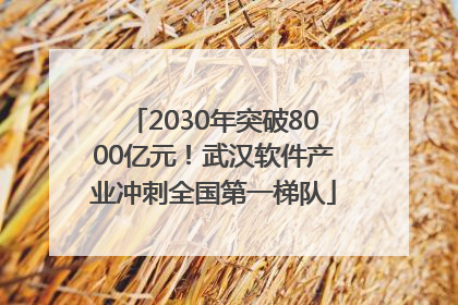 2030年突破8000亿元！武汉软件产业冲刺全国第一梯队