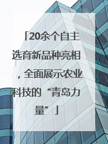 20余个自主选育新品种亮相，全面展示农业科技的“青岛力量”