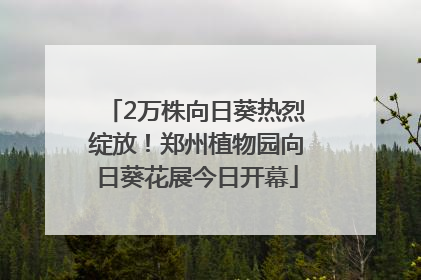 2万株向日葵热烈绽放！郑州植物园向日葵花展今日开幕
