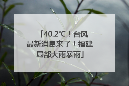 40.2℃！台风最新消息来了！福建局部大雨暴雨