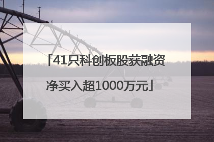 41只科创板股获融资净买入超1000万元