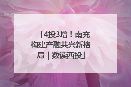 4投3增！南充构建产融共兴新格局｜数读西投